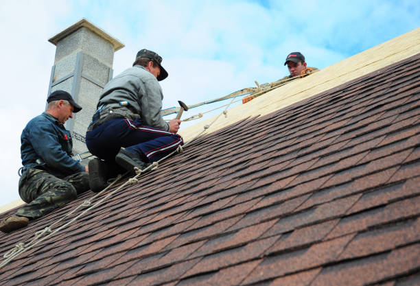 Best Shingle Roofing Installation  in Jamestown, CA